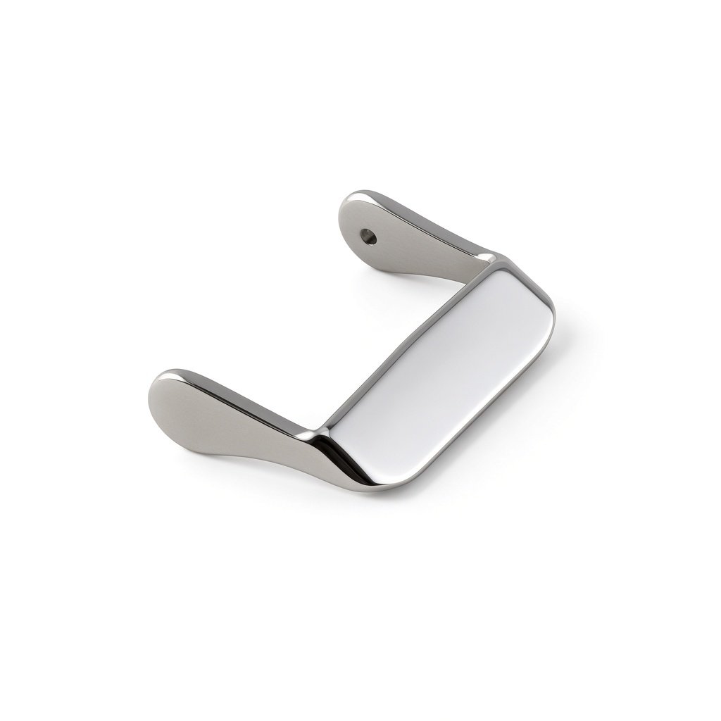 K3101 Buckles